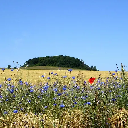 Hafenhaeuser Wiek Ferienwohnung 03 Apartment *